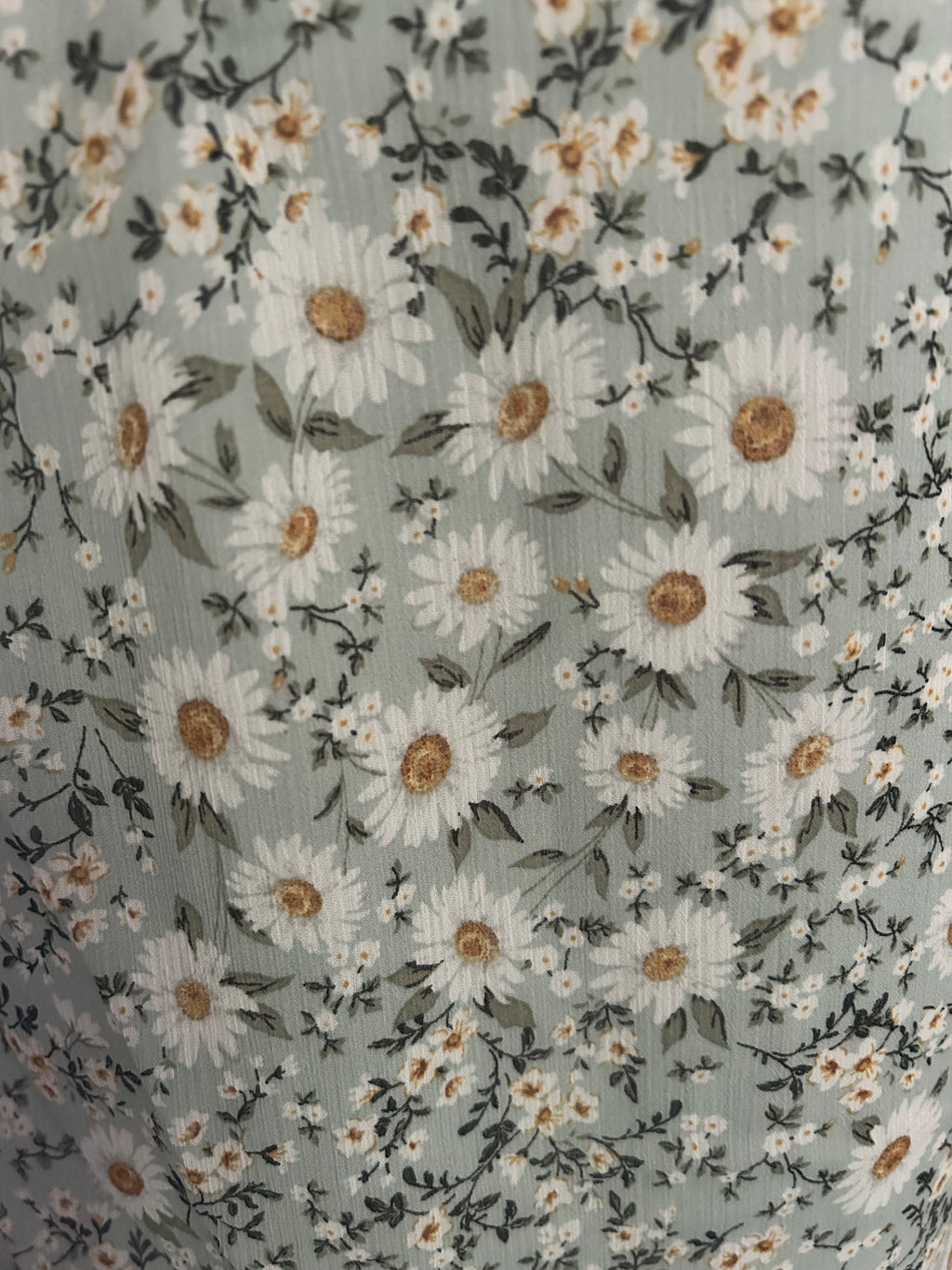 Pretty as a Daisy 3/4 sleeve Blouse